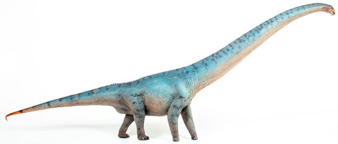 Haolonggood Mamenchisaurus - Heterochromatic - Left Side View